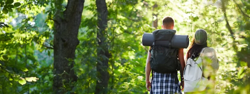 Two people with backpacks are walking through a sunlit forest, surrounded by green trees and foliage.